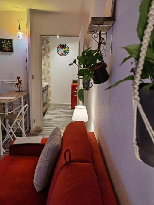 Cosy T1Bis Proche Centreville, Petit Port, Audencia Nantes Dış mekan fotoğraf